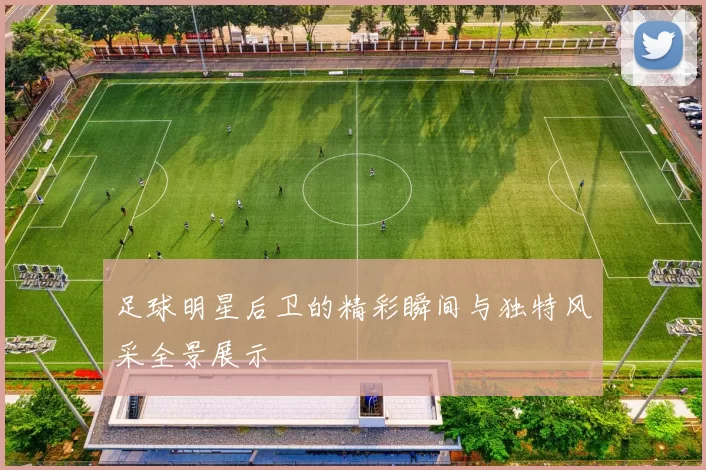 足球明星后卫的精彩瞬间与独特风采全景展示