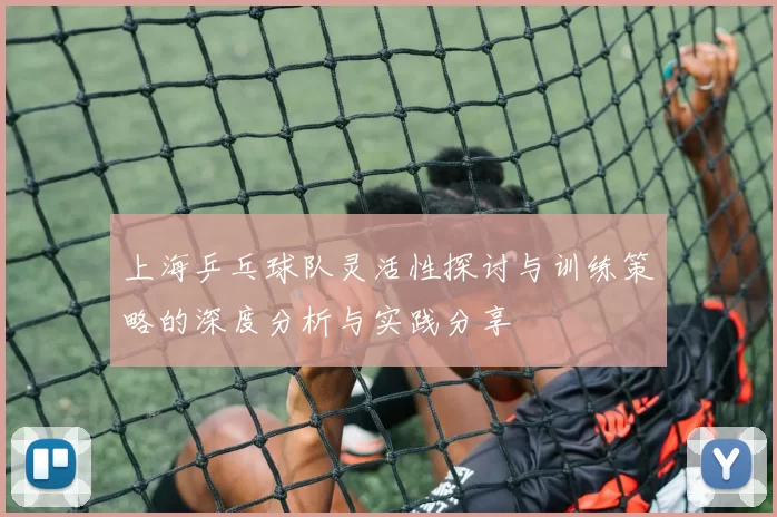 上海乒乓球队灵活性探讨与训练策略的深度分析与实践分享