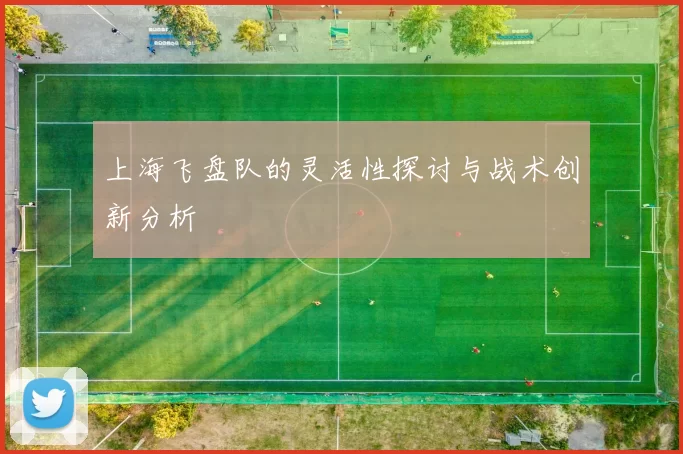 上海飞盘队的灵活性探讨与战术创新分析