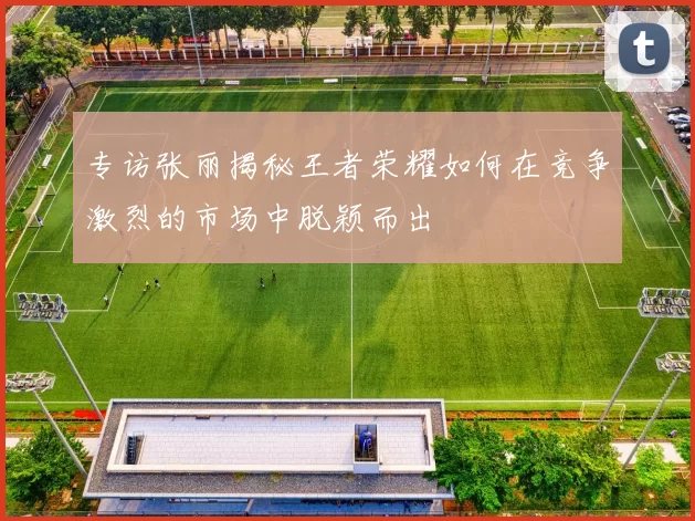 专访张丽揭秘王者荣耀如何在竞争激烈的市场中脱颖而出