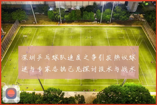 深圳乒乓球队速度之争引发热议球迷与专家各执己见探讨技术与战术
