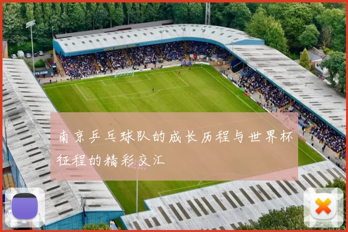 南京乒乓球队的成长历程与世界杯征程的精彩交汇