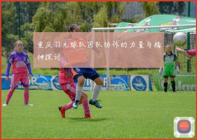 重庆羽毛球队团队协作的力量与精神探讨