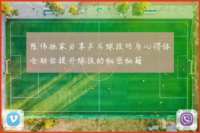 陈伟独家分享乒乓球技巧与心得体会助你提升球技的秘密秘籍