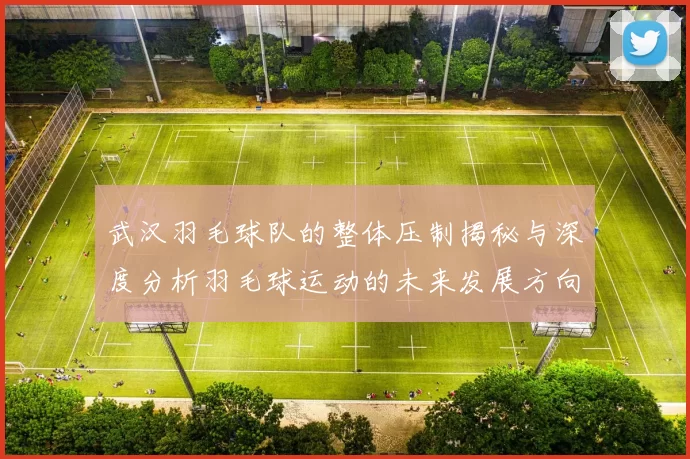 武汉羽毛球队的整体压制揭秘与深度分析羽毛球运动的未来发展方向