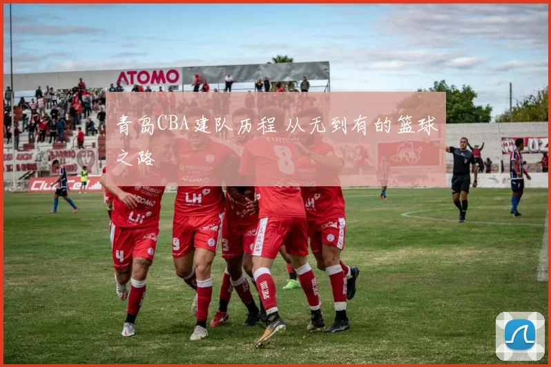青岛CBA建队历程 从无到有的篮球之路