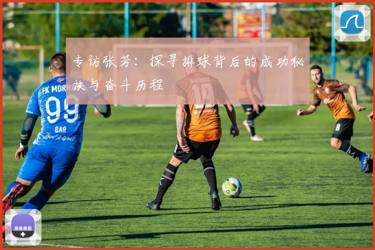 专访张芳：探寻排球背后的成功秘诀与奋斗历程