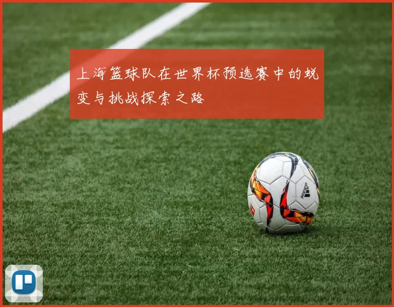 上海篮球队在世界杯预选赛中的蜕变与挑战探索之路