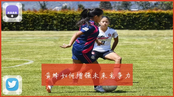 黄蜂如何增强未来竞争力