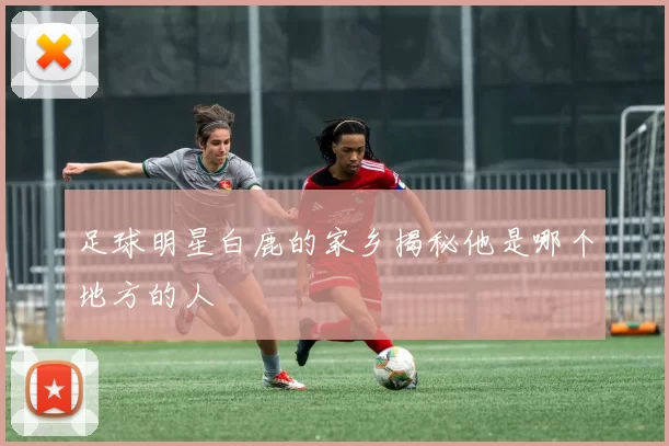 足球明星白鹿的家乡揭秘他是哪个地方的人