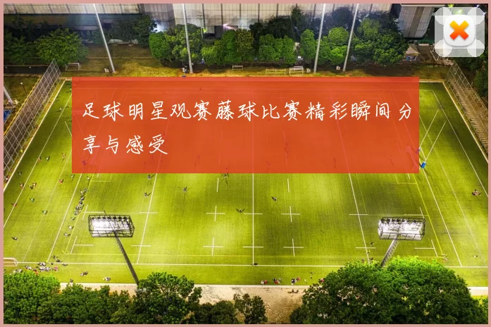 足球明星观赛藤球比赛精彩瞬间分享与感受