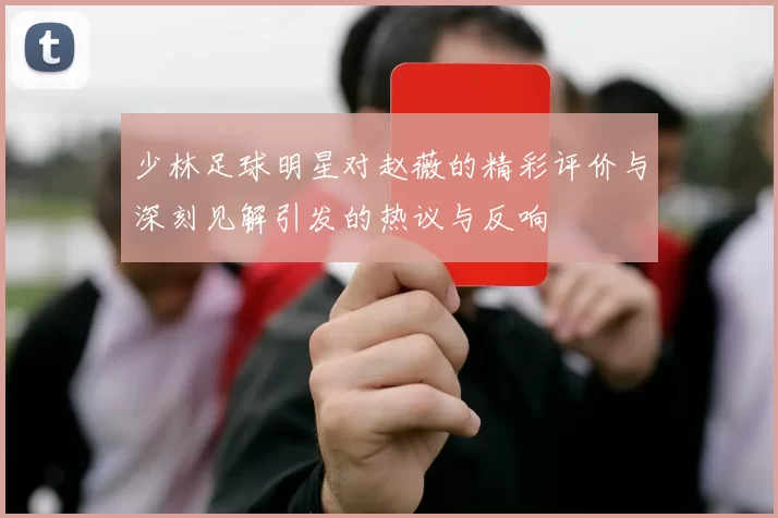 少林足球明星对赵薇的精彩评价与深刻见解引发的热议与反响
