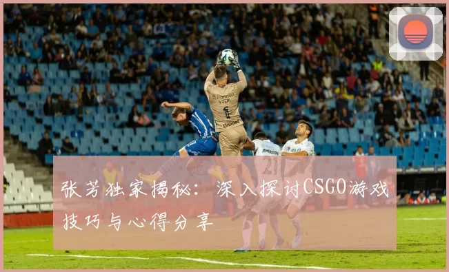 张芳独家揭秘：深入探讨CSGO游戏技巧与心得分享