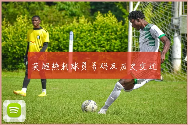 英超热刺球员号码及历史变迁